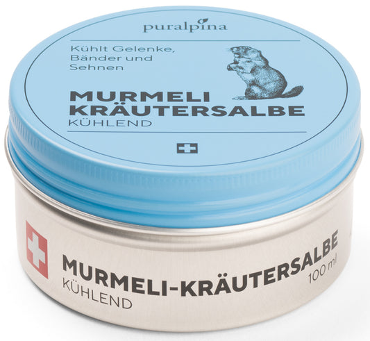 Murmeli Kräutersalbe - blau, grosse Dose