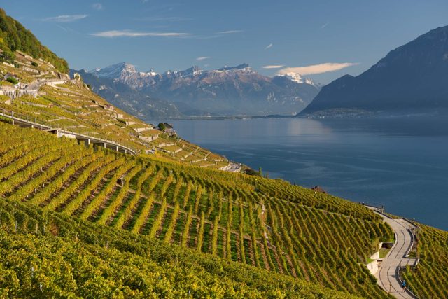 Lavaux · Rebterrassen am Genfersee